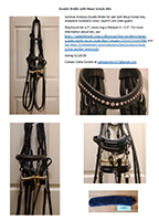 Double Bridle with Neue Schule Bits Ad