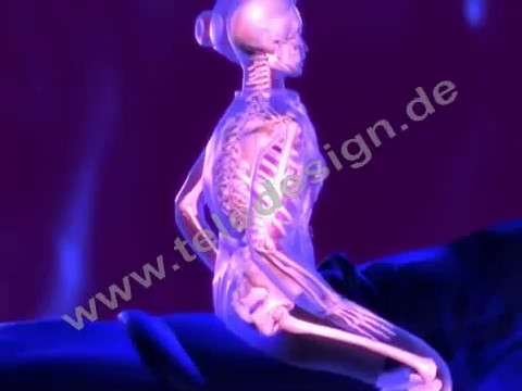 Animation of Spinal Movement while Riding
