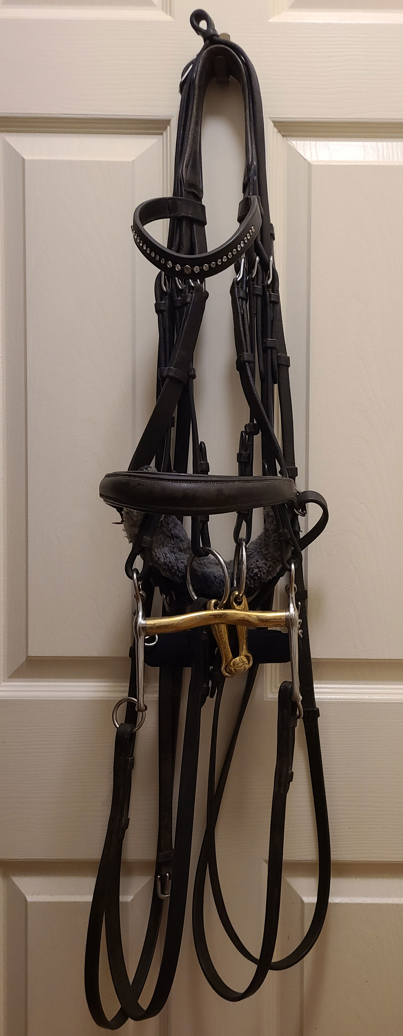Double Bridle with Neue Schule Bits Double Bridle with Neue Schule Bits