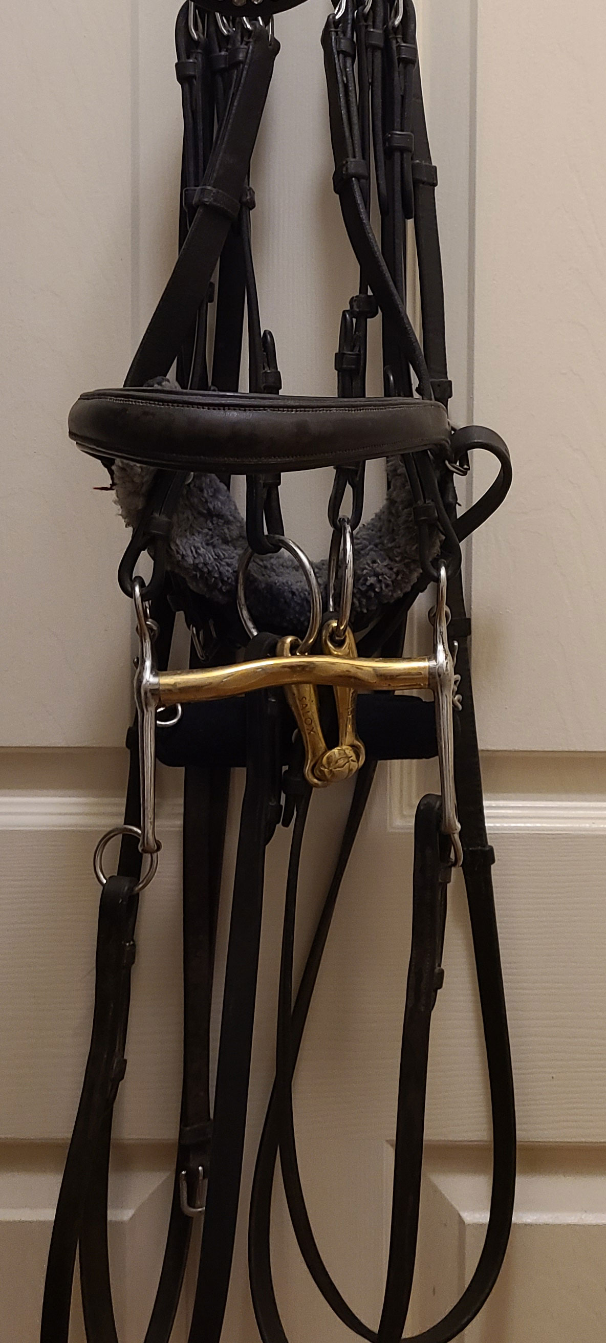 Double Bridle with Neue Schule Bits Double Bridle with Neue Schule Bits