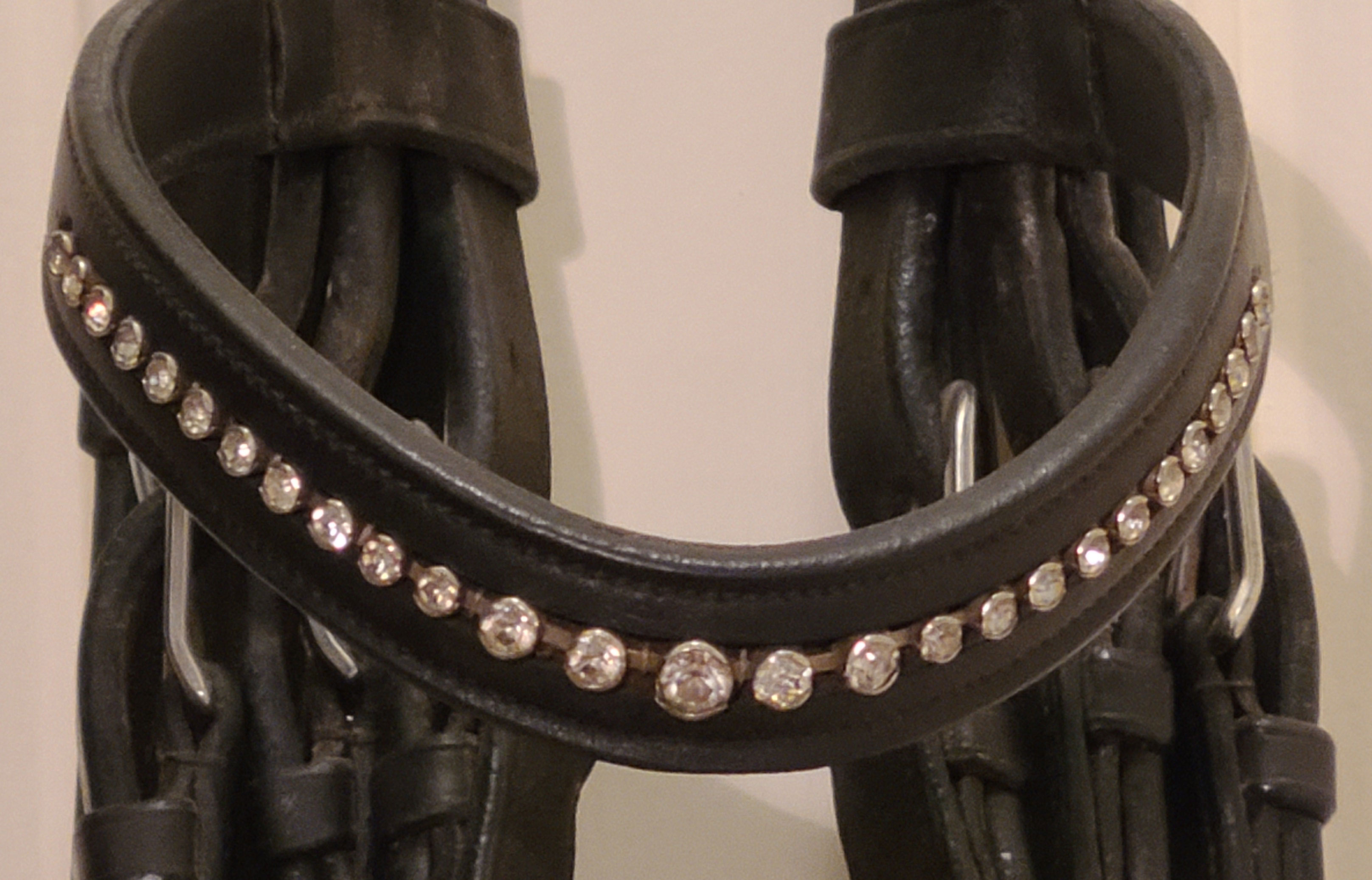 Double Bridle with Neue Schule Bits Double Bridle with Neue Schule Bits