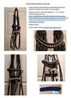 Double Bridle with Neue Schule Bits Ad Double Bridle with Neue Schule Bits Ad