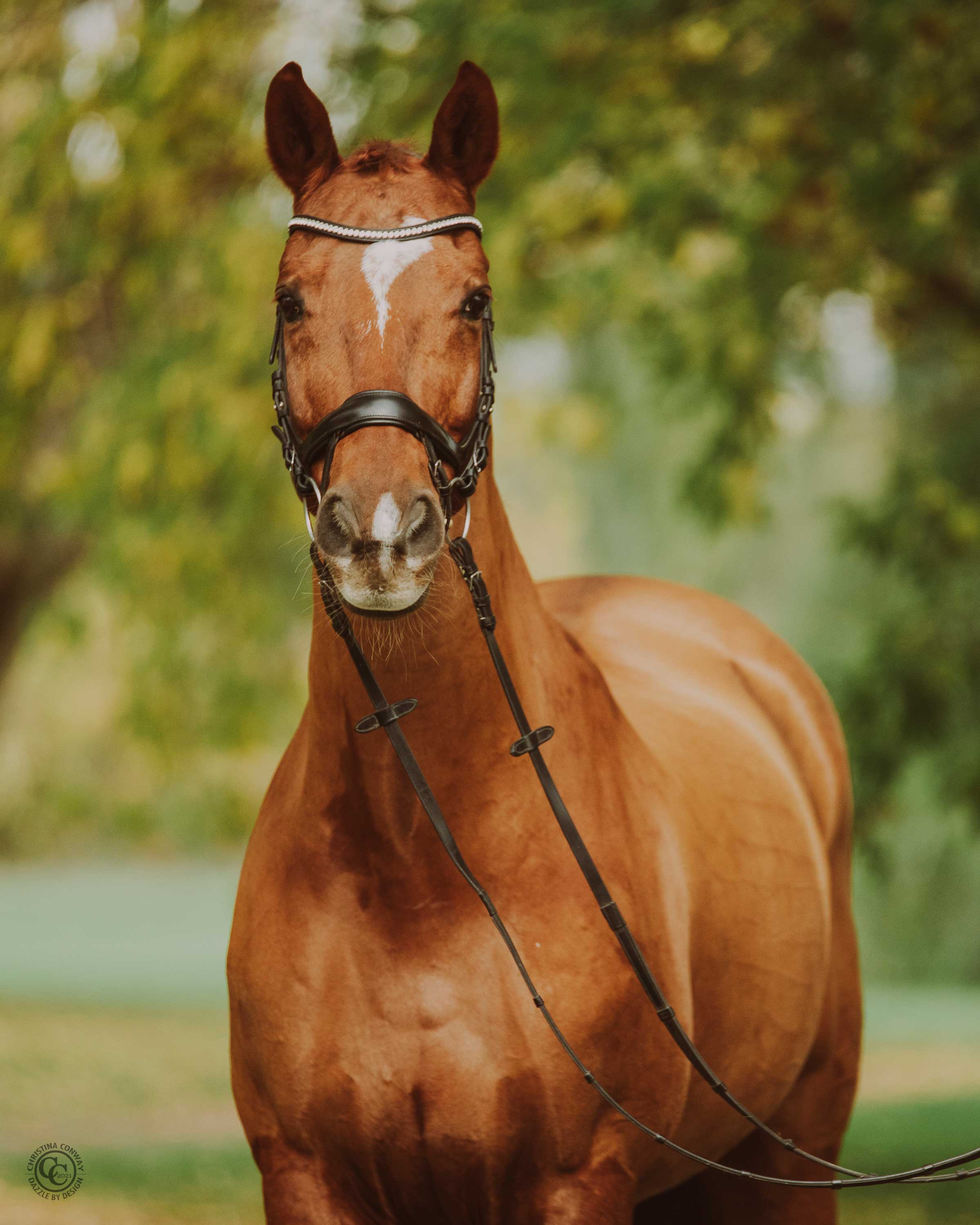 Winzertanz Winzertanz