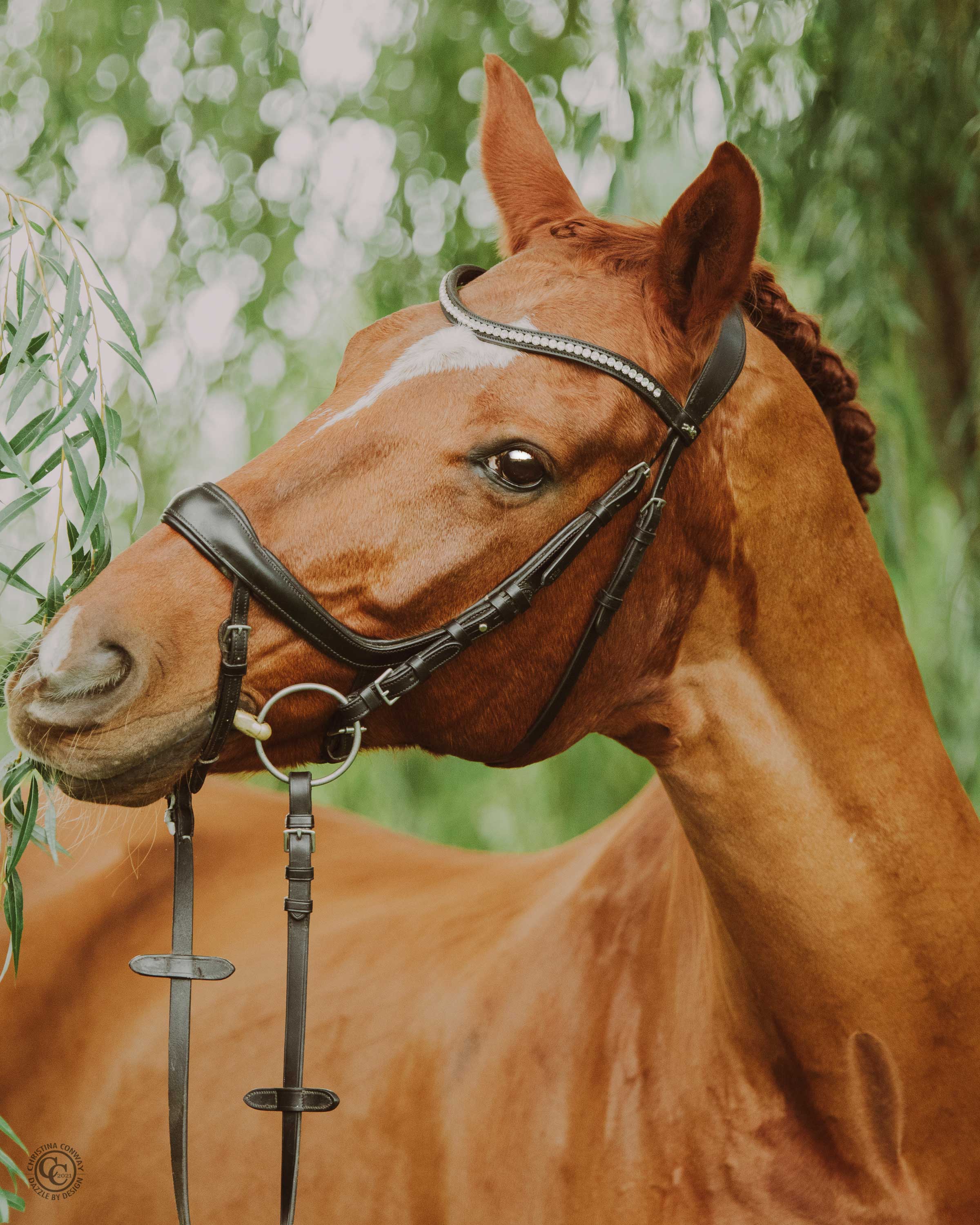 Winzertanz Winzertanz