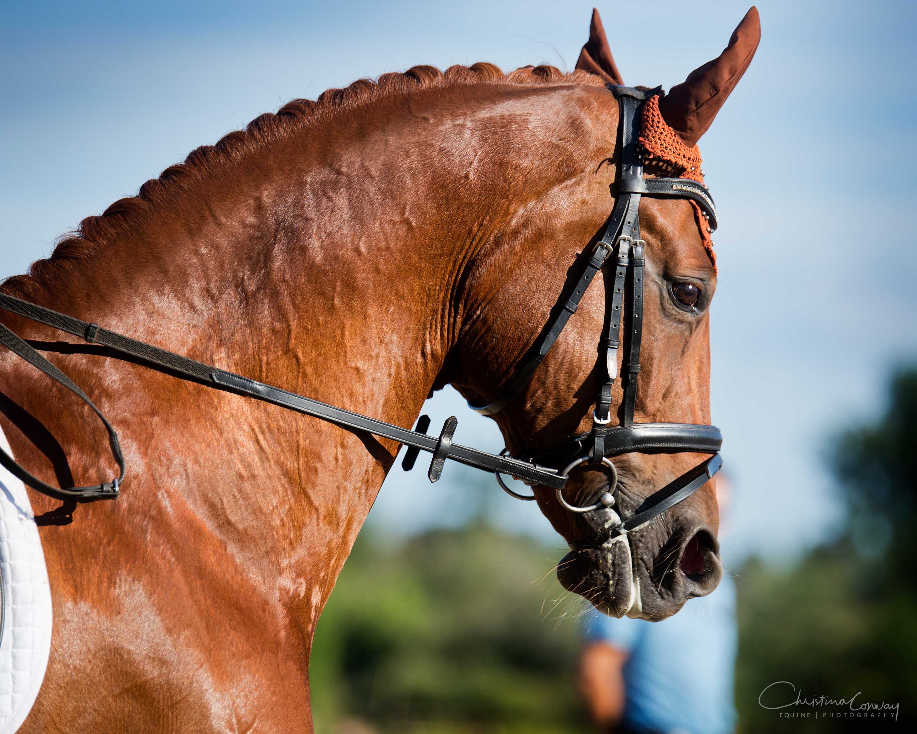 Winzertanz Winzertanz