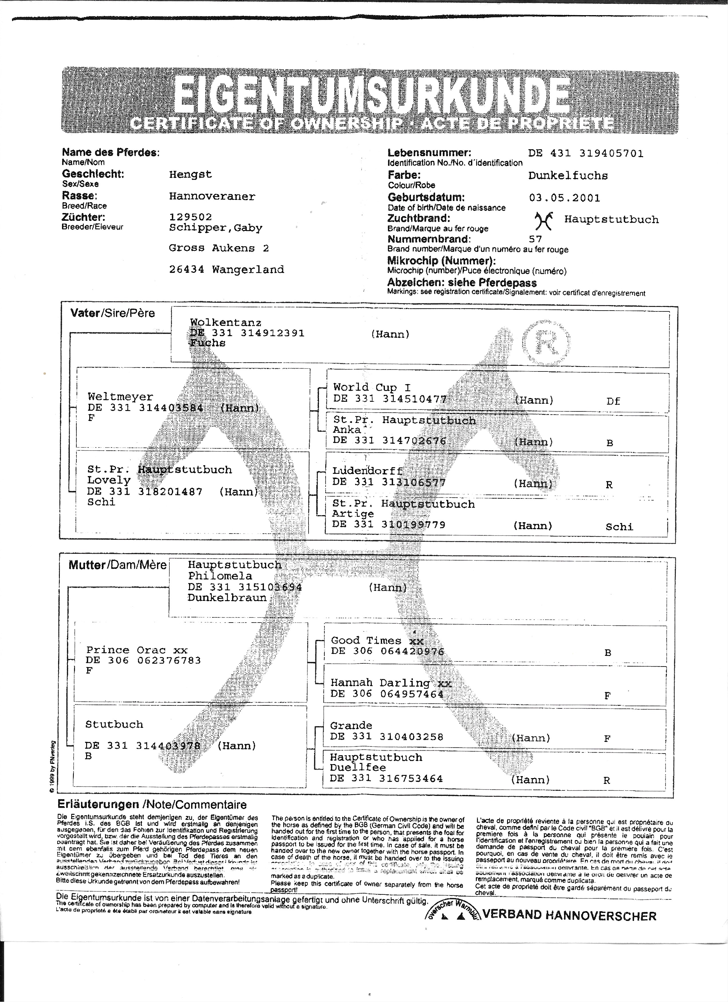 Winzertanz Bloodlines Winzertanz Bloodlines